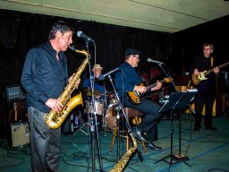 BB 15 BACKWATER BLUES BAND - VERY GOOD